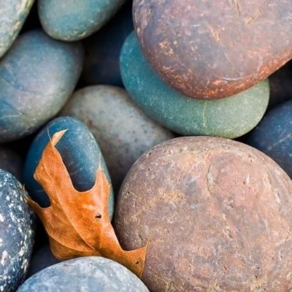 Meet your Posher, Melisa - Picture 1 of 1